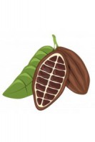 sabor CACAO